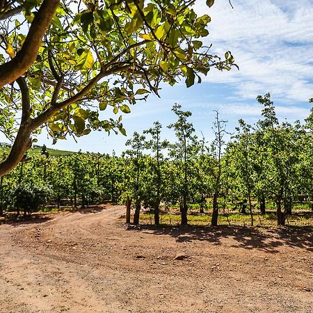 Вілла Galileo Farm Елґін Екстер'єр фото