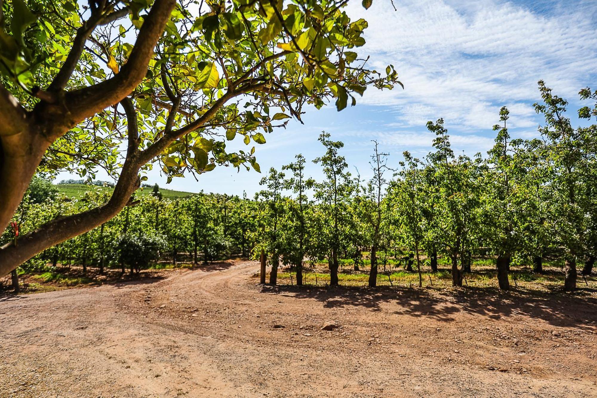 Вілла Galileo Farm Елґін Екстер'єр фото