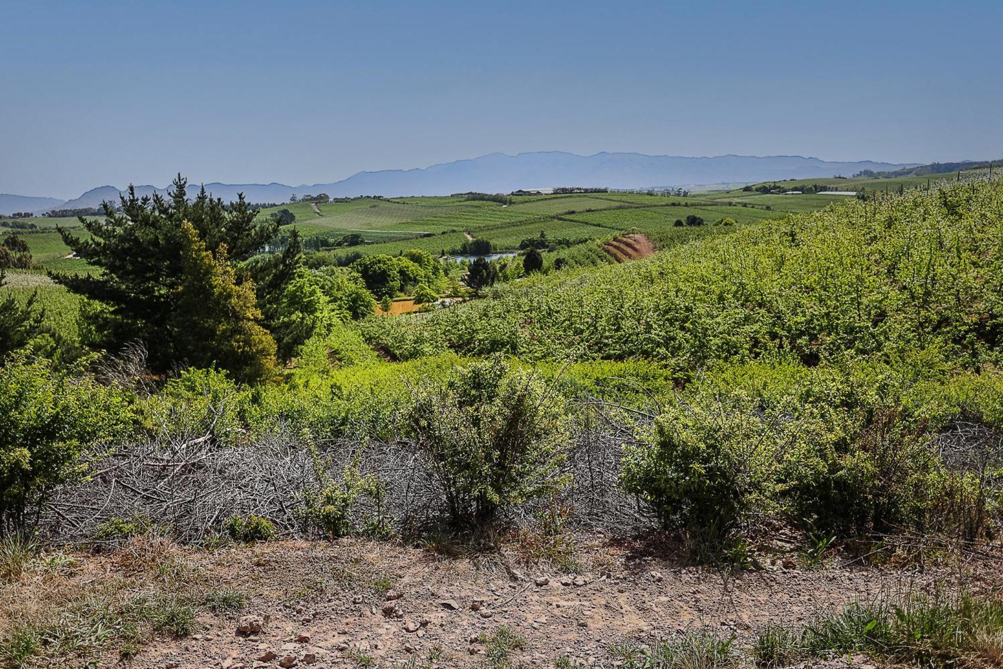 Вілла Galileo Farm Елґін Екстер'єр фото