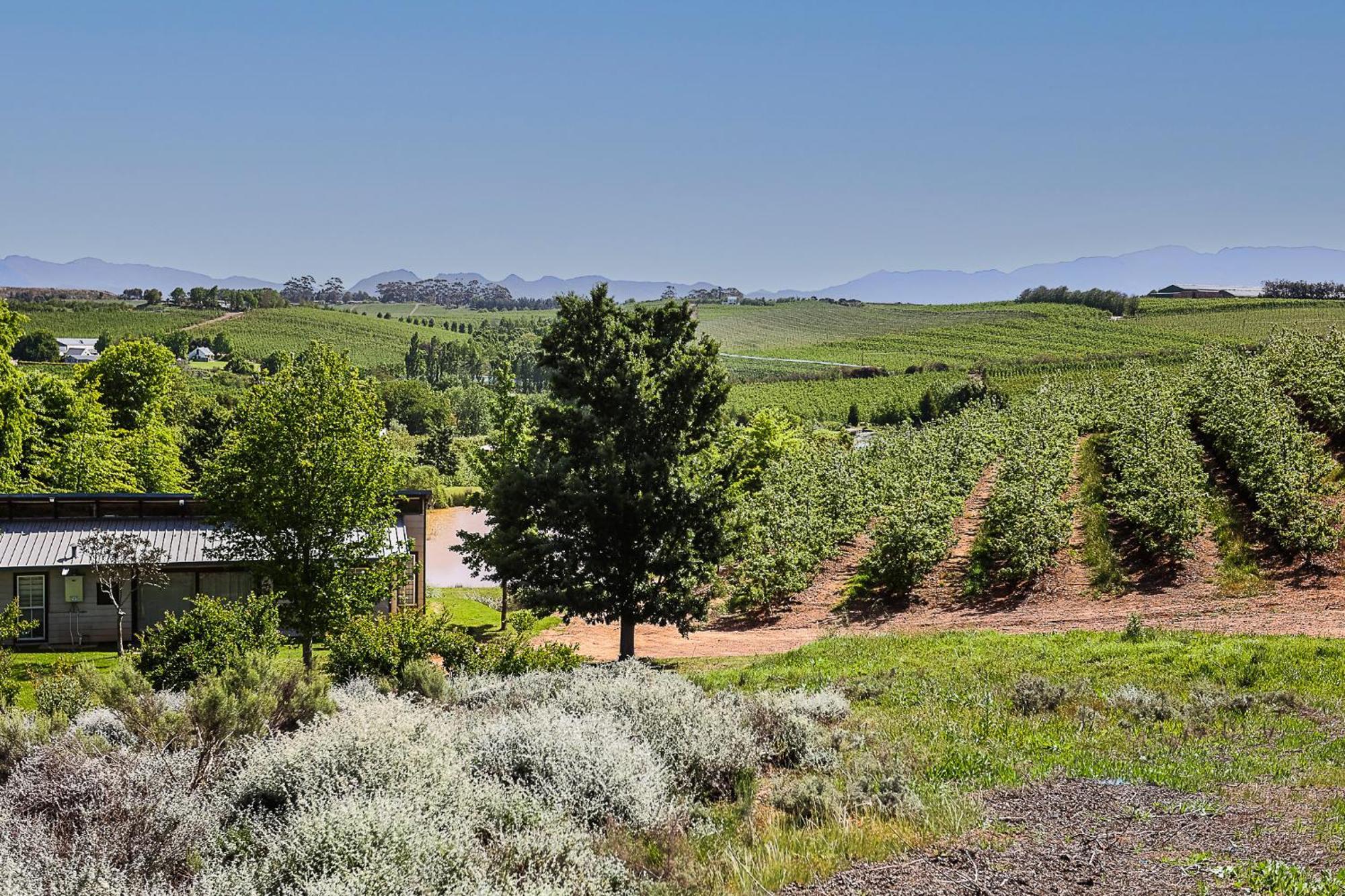 Вілла Galileo Farm Елґін Екстер'єр фото