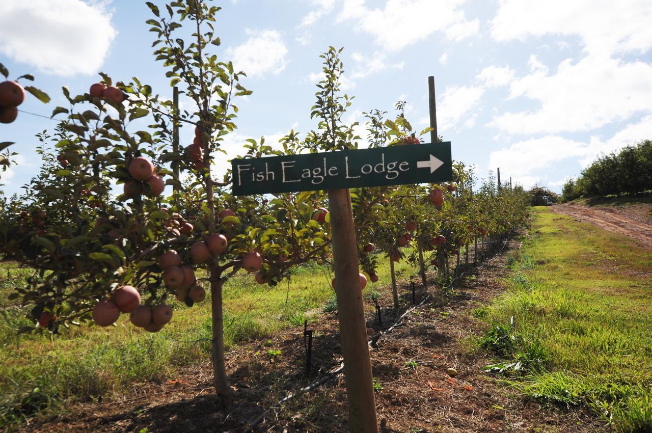 Вілла Galileo Farm Елґін Екстер'єр фото